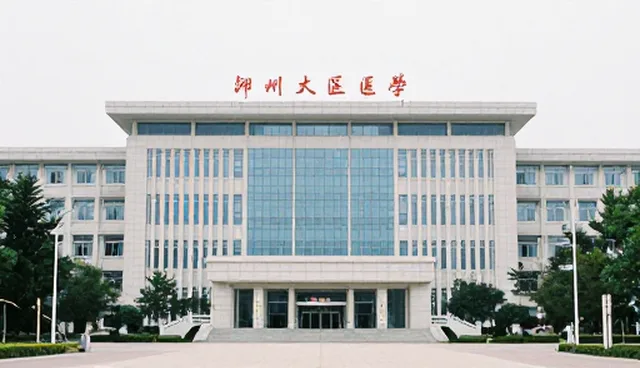 技术型产品：为先的优化策略与性能提升分析